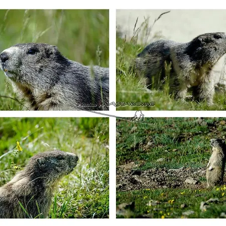 Alpstuga 126 M² Praloup *